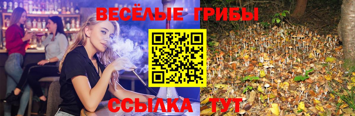 Галлюциногенные грибы GOLDEN TEACHER  Вход с VPN  Кингисепп 